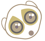 Loris Loris